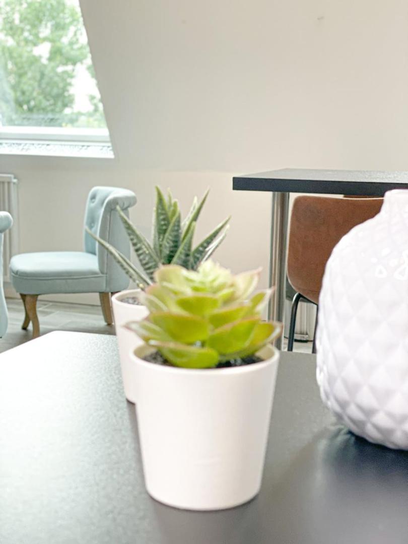 Masse Studio Cosy — Caen Apartment ภายนอก รูปภาพ